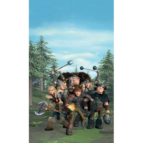 DreamWorks Как приручить дракона 1