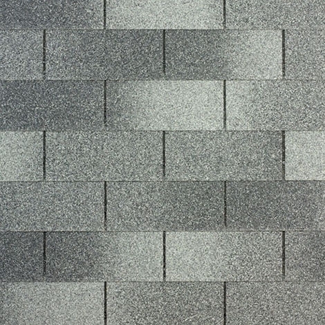Eastern Grey (51)