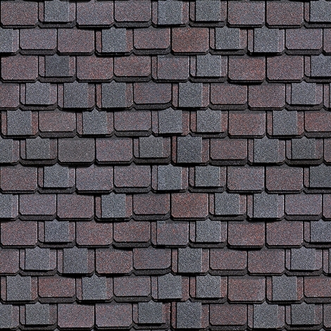 Шинглас Континент