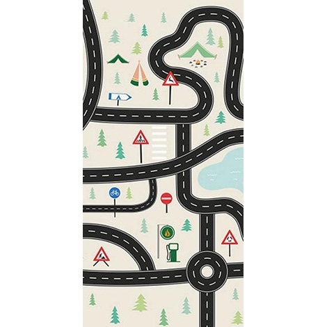 Дороги (4655)