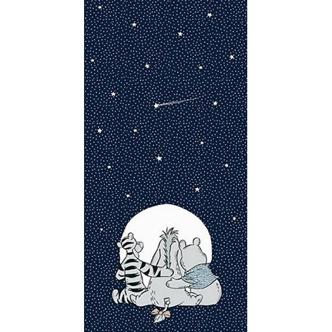 Винни Пух и друзья (4663)